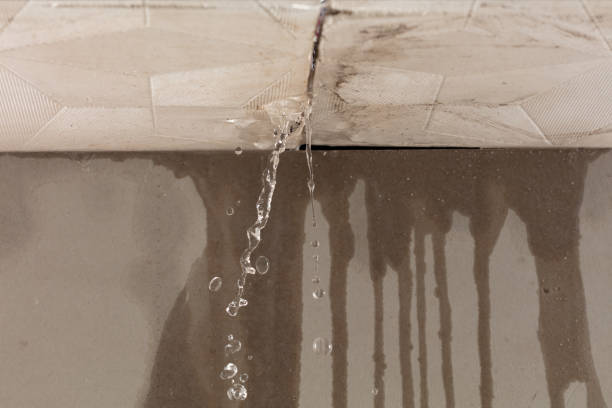 Professional Water Damage Inspection technician working in Jelm, WY